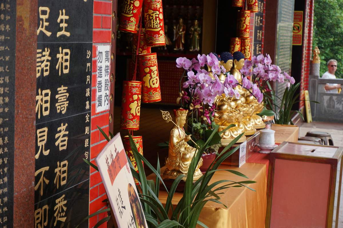 10.000 Buddha Sha Tin 2016 -007