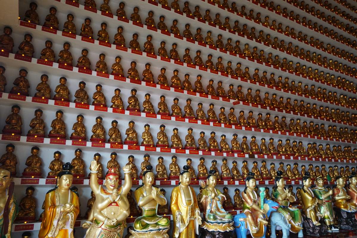 10.000 Buddha Sha Tin 2016 -009