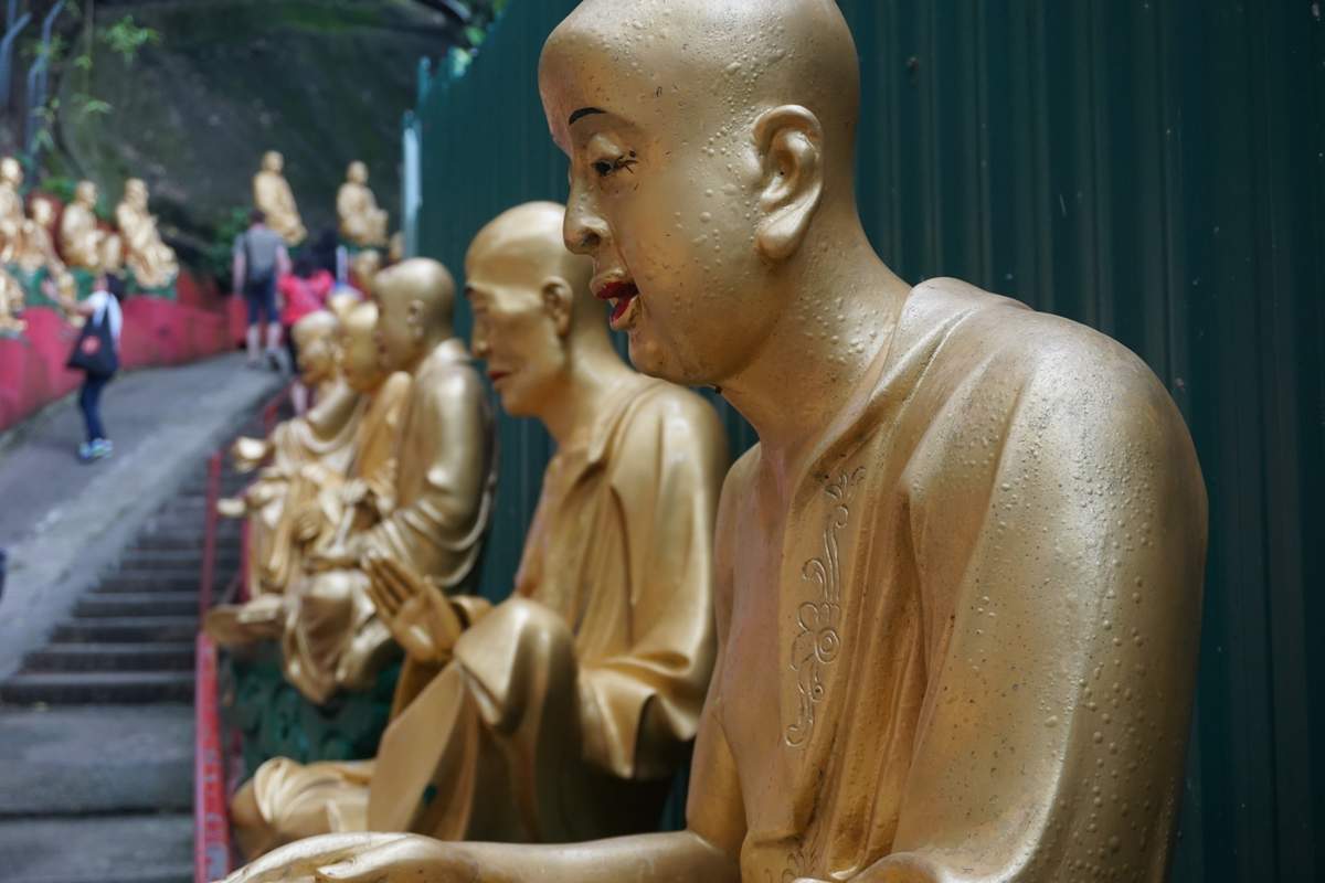 10.000 Buddha Sha Tin 2016 -066
