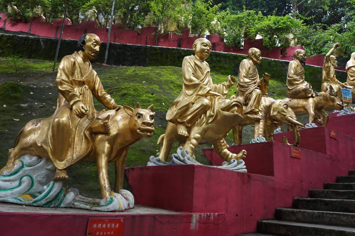 10.000 Buddha Sha Tin 2016 -128