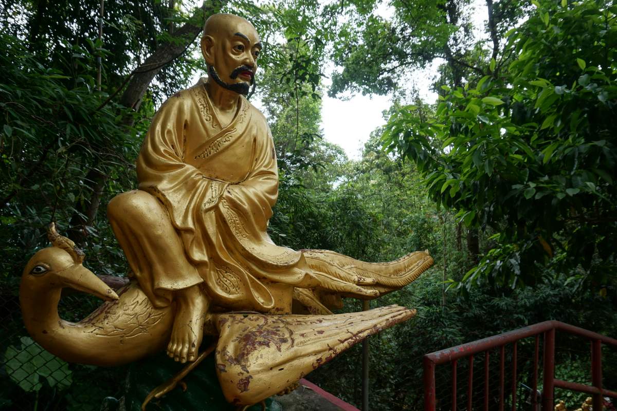 10.000 Buddha Sha Tin 2016 -133