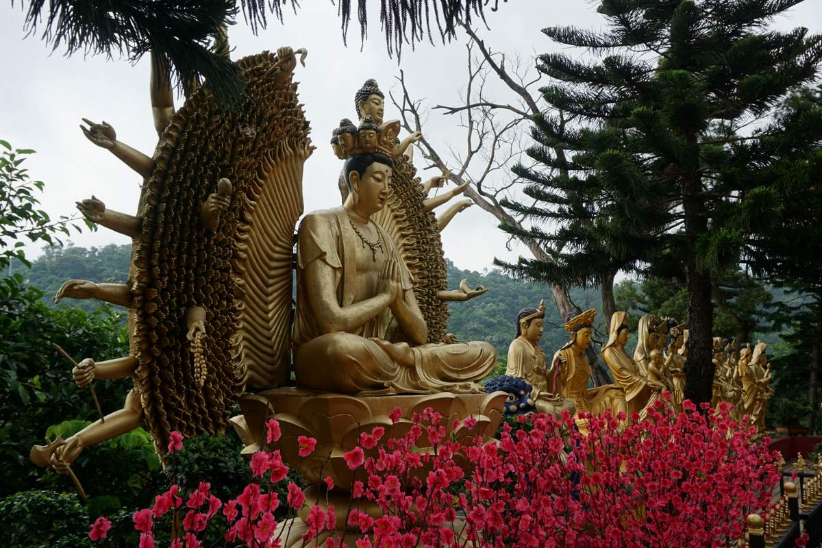 10.000 Buddha Sha Tin 2016 -181