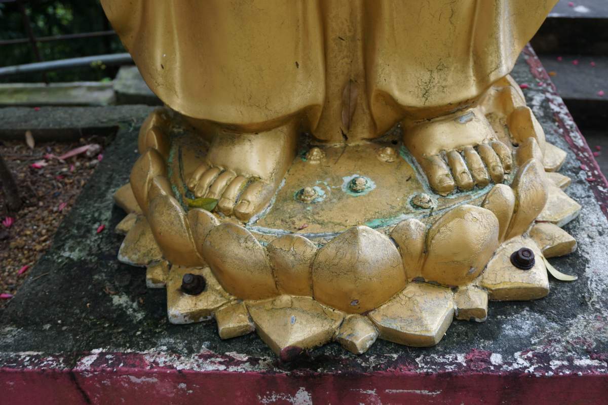 10.000 Buddha Sha Tin 2016 -227