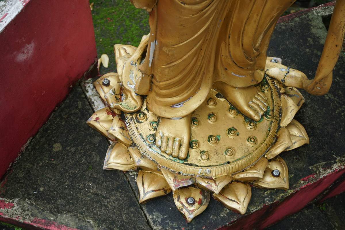 10.000 Buddha Sha Tin 2016 -273