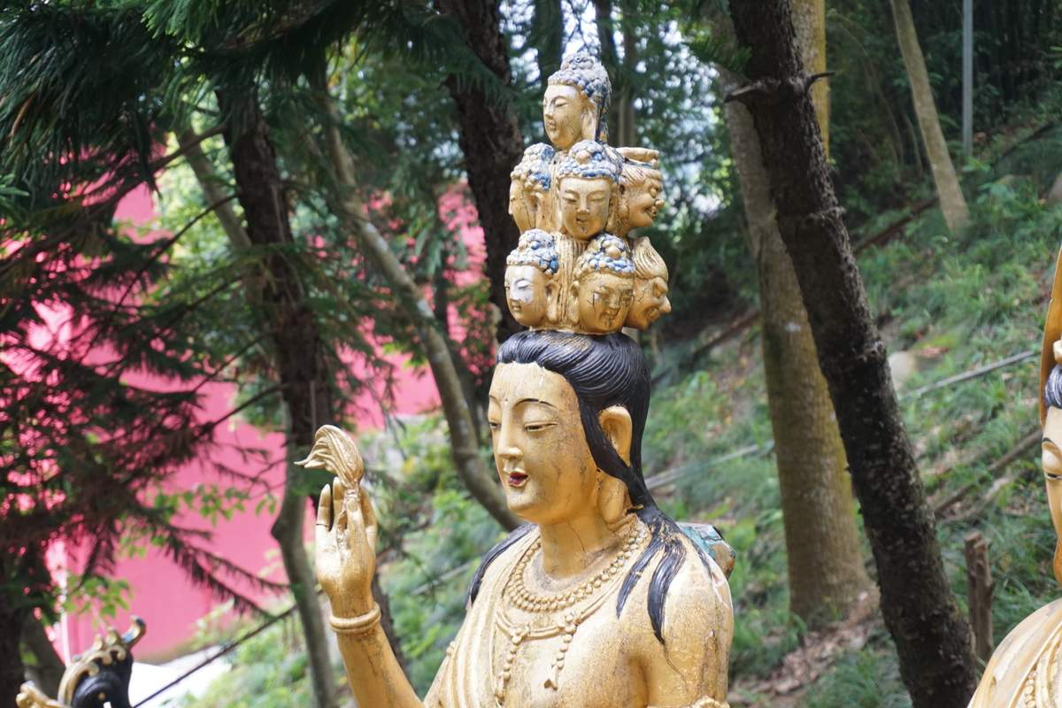 10.000 Buddha Sha Tin 2016 -276