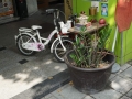 Bahnhof & Umgebung Taipei 2016 -073