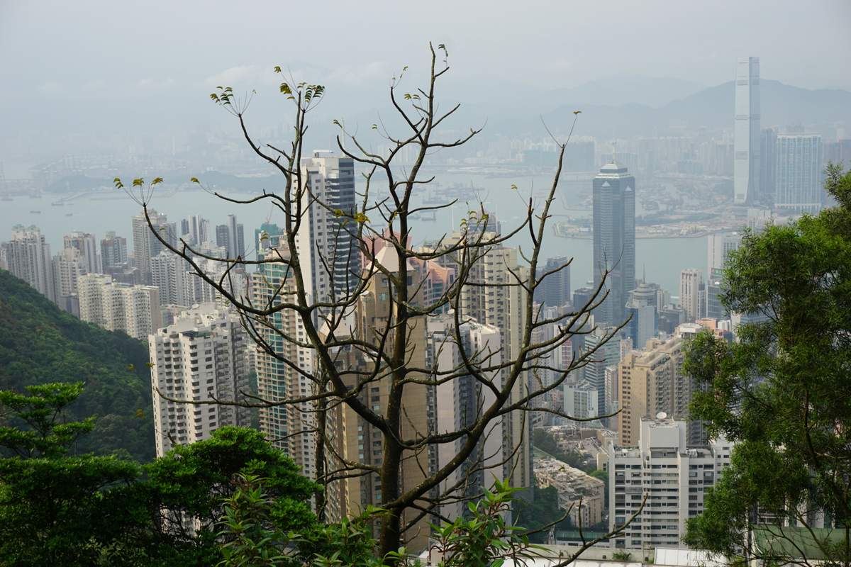 Victoria Peak HK 2016 -024