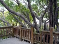 202503_Anping-009