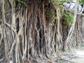 202503_Anping-013