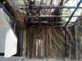 202503_Anping-018