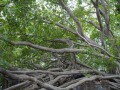202503_Anping-028
