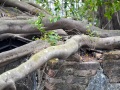 202503_Anping-029
