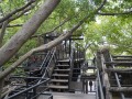 202503_Anping-031
