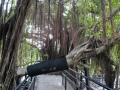 202503_Anping-067