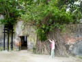 202503_Anping-076