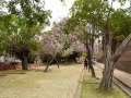 202503_Anping-107