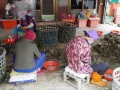202503_Anping-141