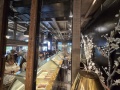 202504_TainanNachTaichung-037