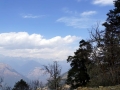 AugenstupaNachPunakha-056