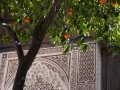 2023Marrakesh_Bahia-032