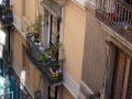 barcelona-barrigotic-001