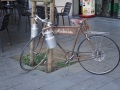 barcelona-barrigotic-063