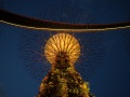 202402_lichtgarden-057