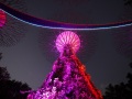 202402_lichtgarden-063