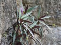 202210_BichDong-016