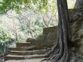202210_BichDong-045