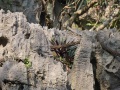 202210_BichDong-054
