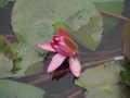 202210_BichDong-090