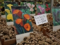 Flowermarket_Singelgracht_Amsterdam_May2018_-005