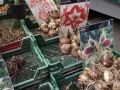 Flowermarket_Singelgracht_Amsterdam_May2018_-011