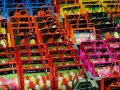 Flowermarket_Singelgracht_Amsterdam_May2018_-013