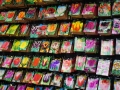 Flowermarket_Singelgracht_Amsterdam_May2018_-014
