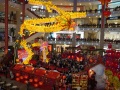 202402_Bintang-066