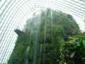 202402_CloudForrest-000