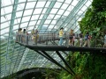 202402_CloudForrest-073