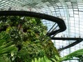 202402_CloudForrest-100