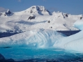 Jan2020_CurtissBay_Antarctic