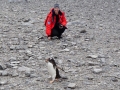 Jan2020_Cuverville_Antarctic-048