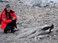 Jan2020_Cuverville_Antarctic-052