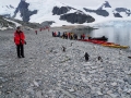 Jan2020_Cuverville_Antarctic-077