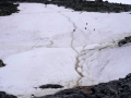 Jan2020_Cuverville_Antarctic-105