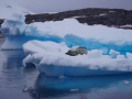 Jan2020_Fotoboat_PeneauIsland_Antarctic-088