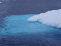 Jan2020_Fotoboat_PeneauIsland_Antarctic-118