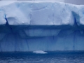 Jan2020_Fotoboat_PeneauIsland_Antarctic-147