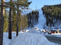 202603_FatbikeLevi-071