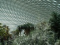 202402_FlowerDome-024